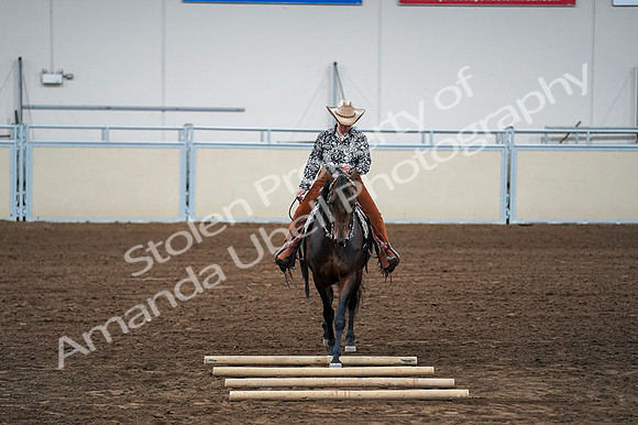 2020 - AB Morgan Horse - Fri, Sept 04 - 00432