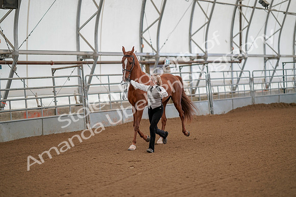 July 19, 2019 - 55