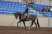 2020 - AB Morgan Horse - Sun, Sept 06 - 00895