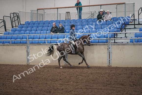2019 Morgan Horse Show - Aug 31, 2019 - 07481