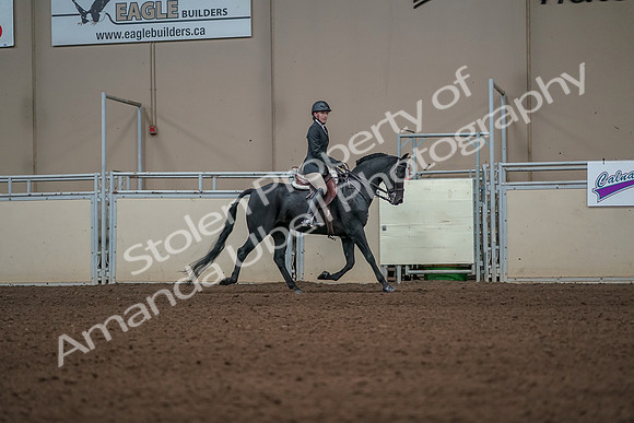 2019 Morgan Horse Show - Aug 31, 2019 - 05178