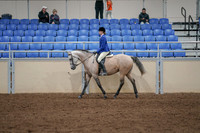 2020 - AB Morgan Horse - Fri, Sept 04 - 10348