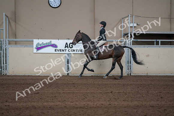 2019 Morgan Horse Show - Sept 01, 2019 - 03781