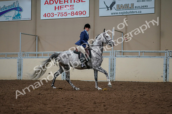 2019 Morgan Horse Show - Aug 30, 2019 - 22522