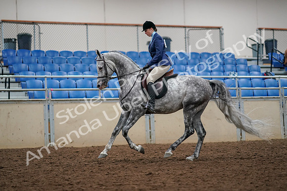 2019 Morgan Horse Show - Aug 30, 2019 - 22344