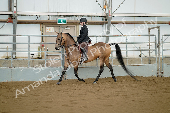 July 21, 2019 - 02159