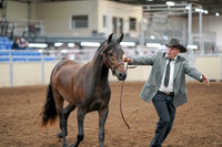 2020 - AB Morgan Horse - Sat, Sept 05 - 00729