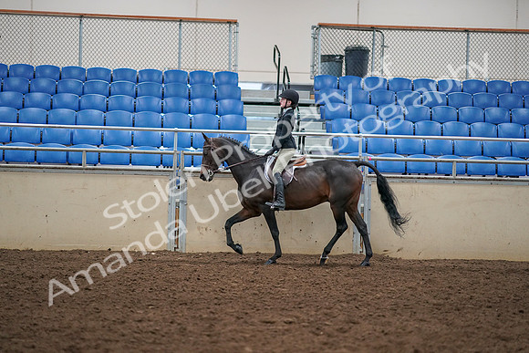 2019 Morgan Horse Show - Aug 30, 2019 - 12142