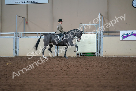 2019 Morgan Horse Show - Aug 30, 2019 - 20723