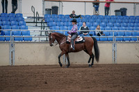 2019 Morgan Horse Show - Sept 01, 2019 - 06760