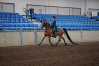 2019 Morgan Horse Show - Sept 01, 2019 - 13151