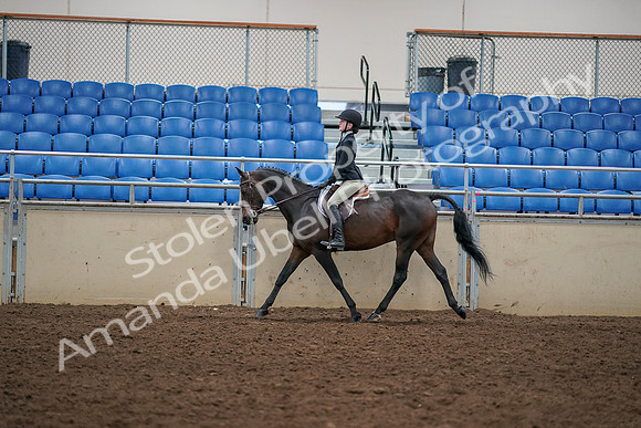 2019 Morgan Horse Show - Aug 30, 2019 - 12144