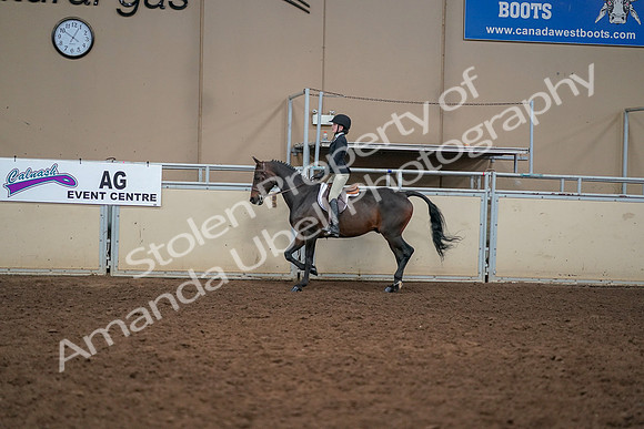 2019 Morgan Horse Show - Aug 30, 2019 - 12213