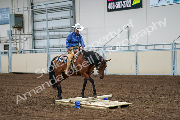 2020 - AB Morgan Horse - Fri, Sept 04 - 00233