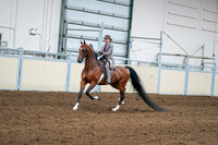 2020 - AB Morgan Horse - Sat, Sept 05 - 12079