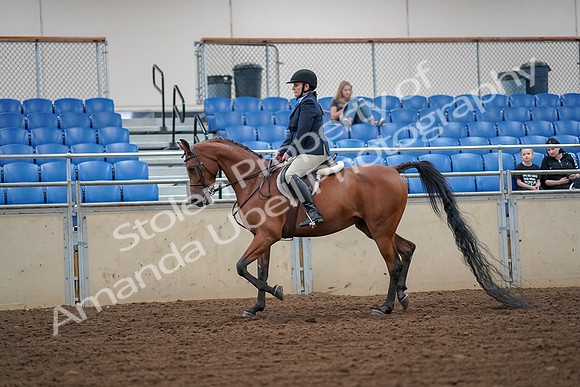 2019 Morgan Horse Show - Aug 30, 2019 - 16097