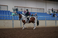 2019 Morgan Horse Show - Aug 30, 2019 - 14848