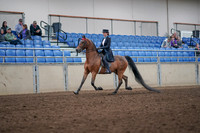 2019 Morgan Horse Show - Aug 31, 2019 - 19911