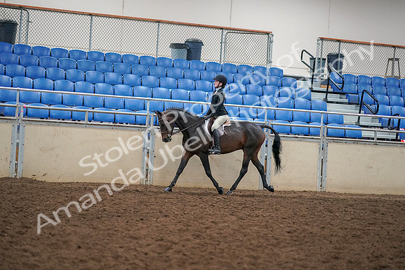 2019 Morgan Horse Show - Aug 30, 2019 - 12256