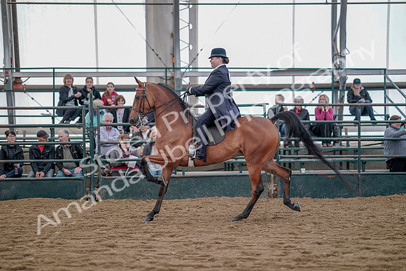 July 20, 2019 - 13847