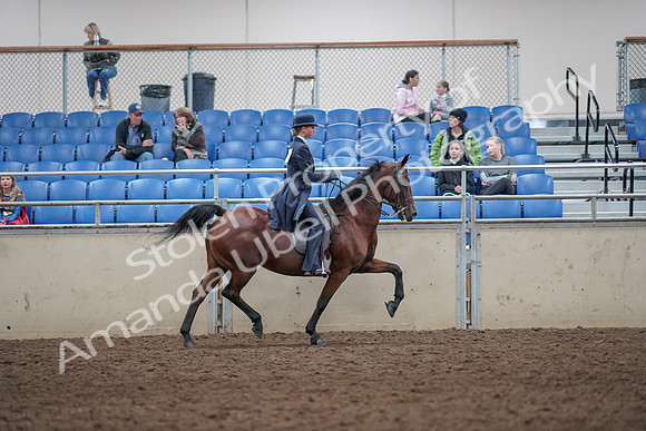 2019 Morgan Horse Show - Aug 31, 2019 - 09611