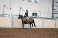 2020 - AB Morgan Horse - Sat, Sept 05 - 04956