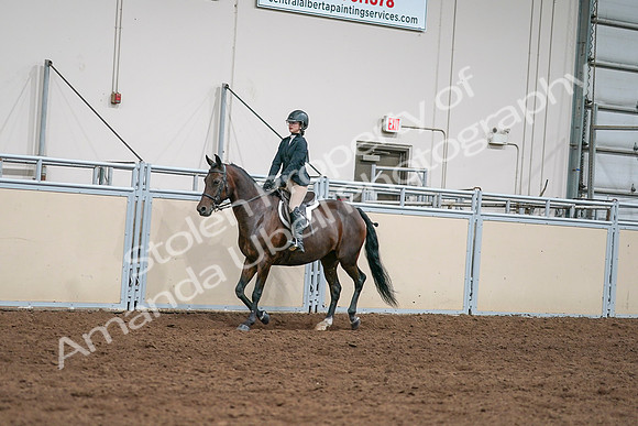 2020 - AB Morgan Horse - Sat, Sept 05 - 04956