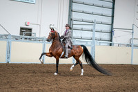 2020 - AB Morgan Horse - Sat, Sept 05 - 12088