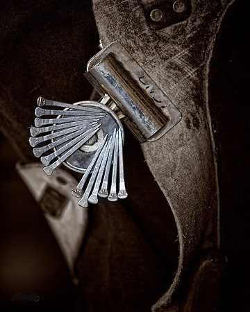 Farrier - 044