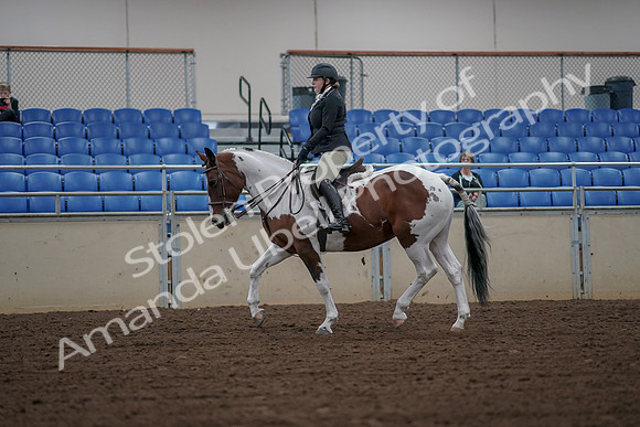 2019 Morgan Horse Show - Aug 30, 2019 - 14923