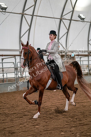 July 19, 2019 - 10258