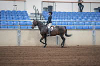 2019 Morgan Horse Show - Sept 01, 2019 - 03661