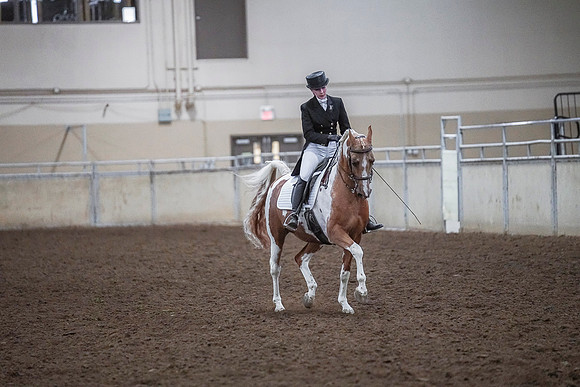 Spring Fling - Saturday - April 20, 2019  -  03724