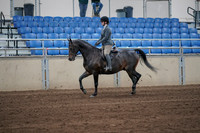 2019 Morgan Horse Show - Sept 01, 2019 - 10891