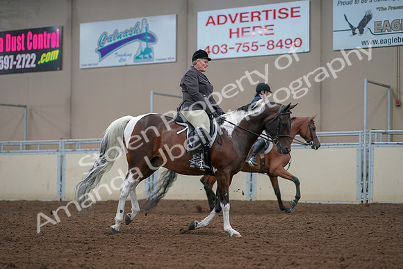 2019 Morgan Horse Show - Aug 30, 2019 - 16438