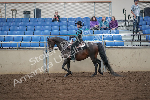 2019 Morgan Horse Show - Aug 30, 2019 - 25888