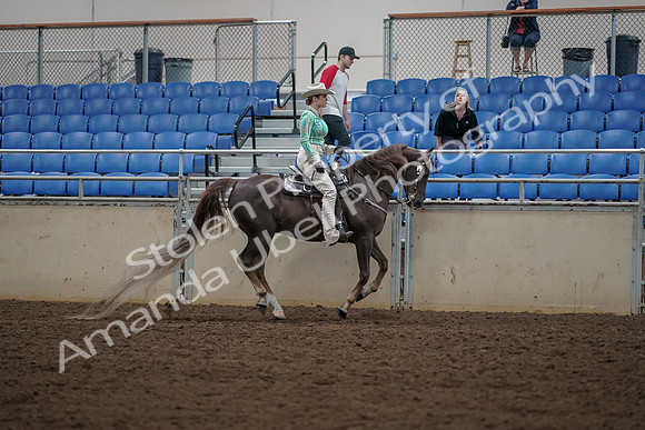 2019 Morgan Horse Show - Aug 30, 2019 - 26161