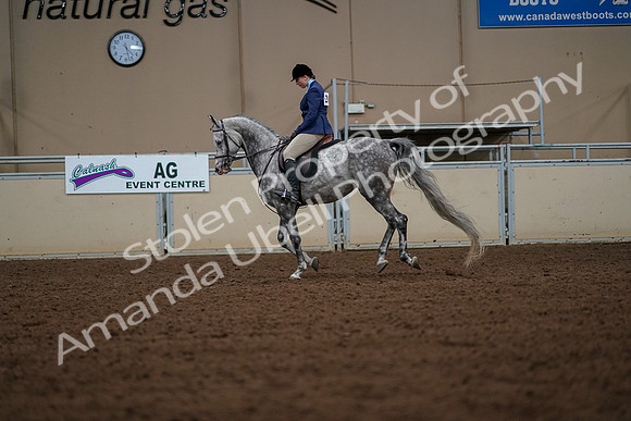 2019 Morgan Horse Show - Aug 30, 2019 - 22432