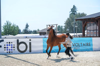 2024 - WCB - July 18 - 02861
