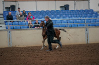 2019 Morgan Horse Show - Aug 30, 2019 - 24655