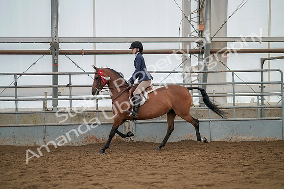 July 20, 2019 - 03516