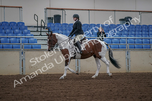 2019 Morgan Horse Show - Aug 30, 2019 - 14867