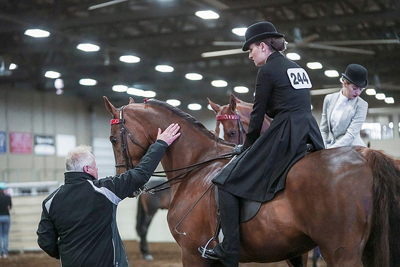 Spring Fling - Saturday - April 20, 2019  -  00368