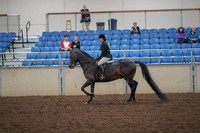 2019 Morgan Horse Show - Aug 30, 2019 - 27208