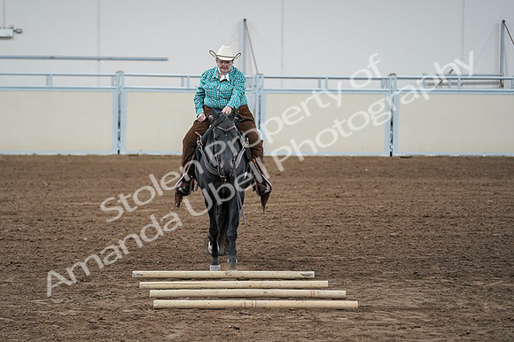 2020 - AB Morgan Horse - Fri, Sept 04 - 00630