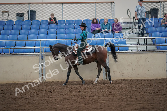 2019 Morgan Horse Show - Aug 30, 2019 - 25906