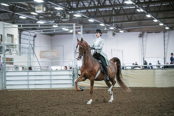 Spring Fling - Saturday - April 20, 2019  -  00409
