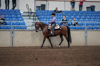 2019 Morgan Horse Show - Sept 01, 2019 - 06763