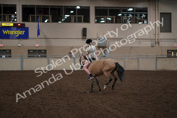 2019 Morgan Horse Show - Aug 30, 2019 - 31264