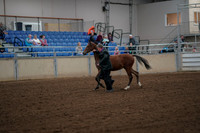 2019 Morgan Horse Show - Aug 30, 2019 - 25535